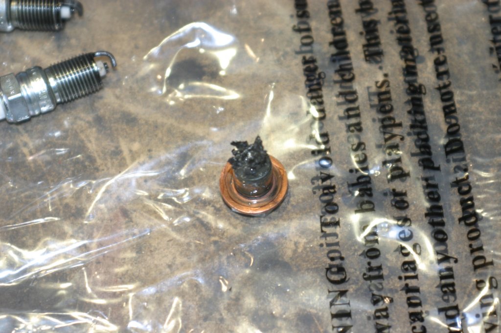theoildrainplug.jpg